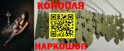apvp Ипатово
