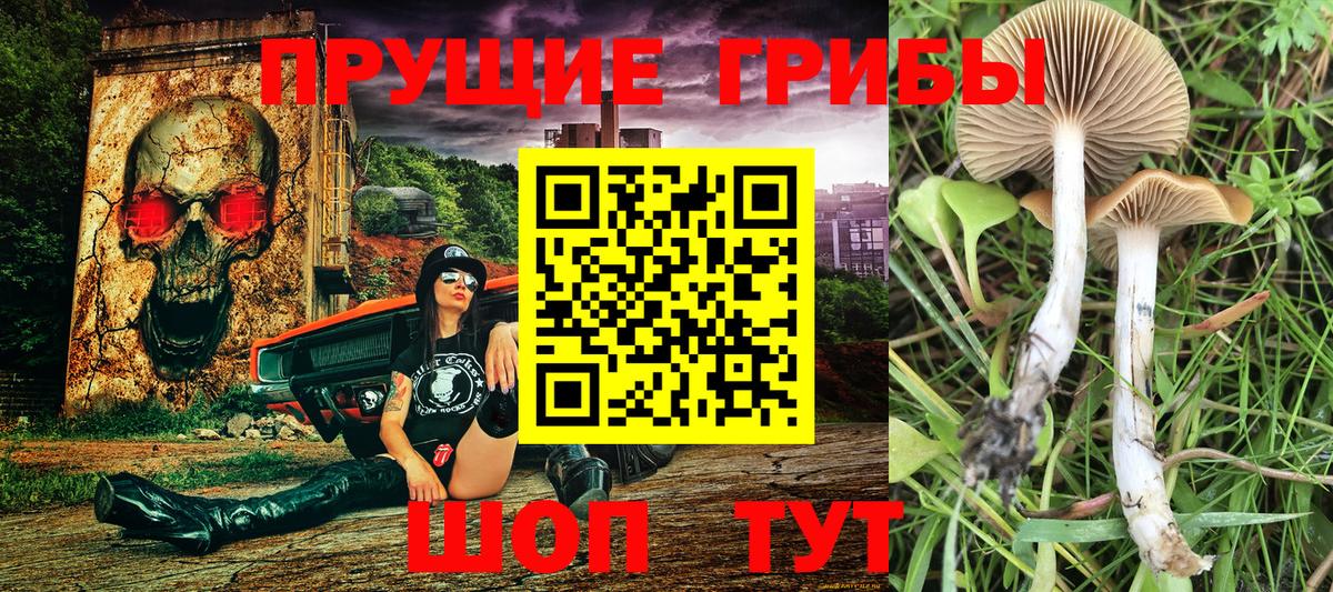 Крымск  Псилоцибиновые грибы MAGIC MUSHROOMS  Вход с VPN  Галлюциногенные грибы ЛСД 